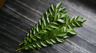 garnishing-instructions-image